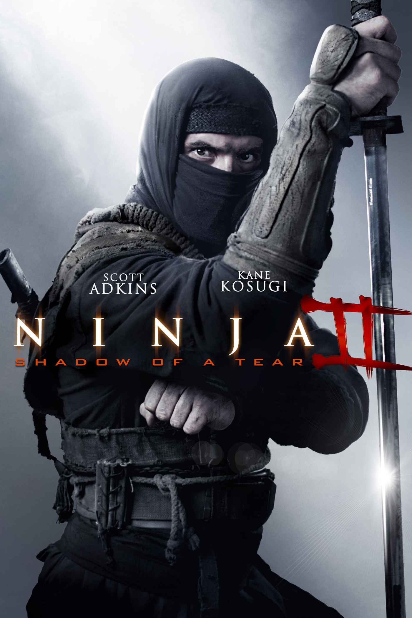 NINJA: SHADOW OF A TEAR