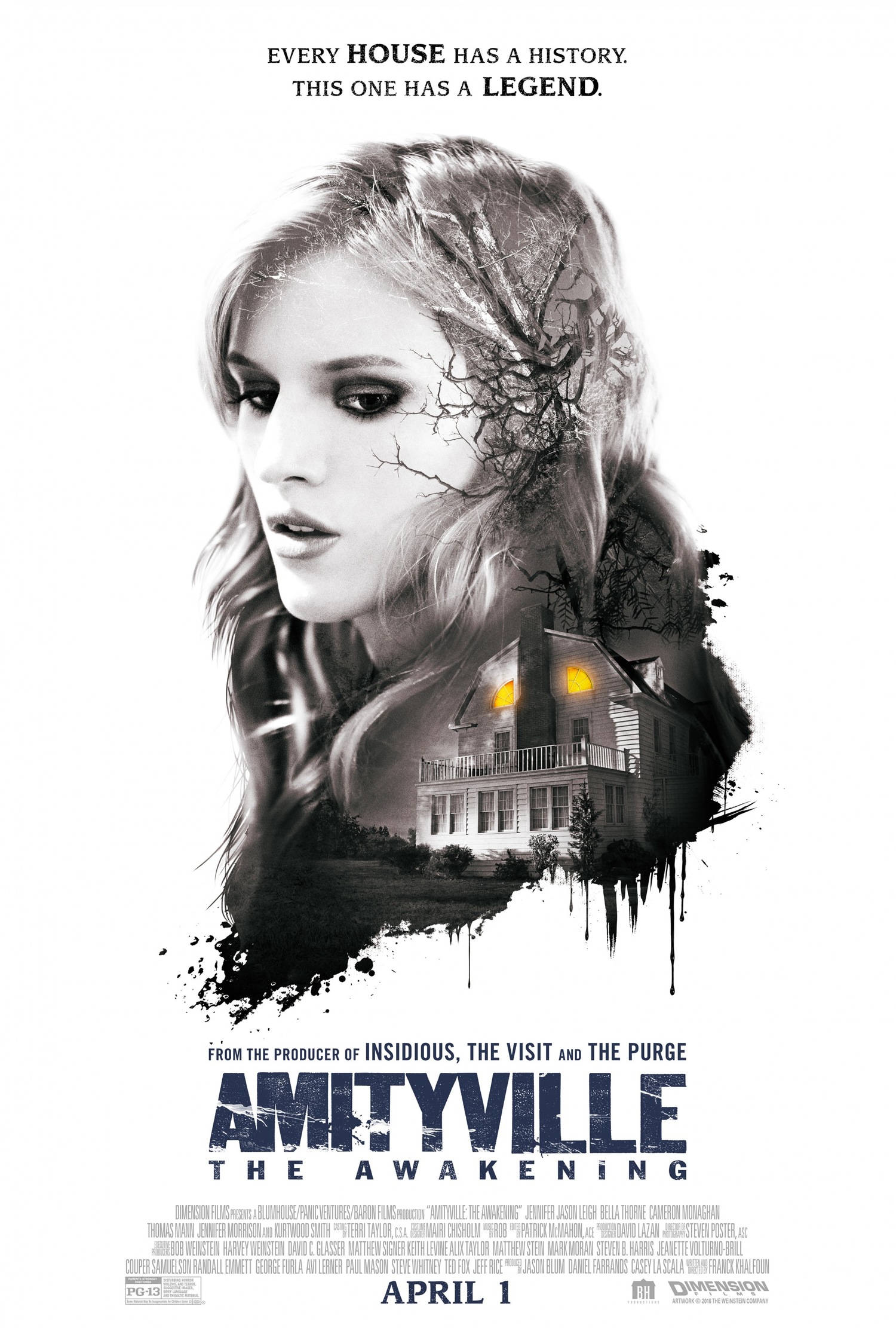 AMITYVILLE: THE AWAKENING