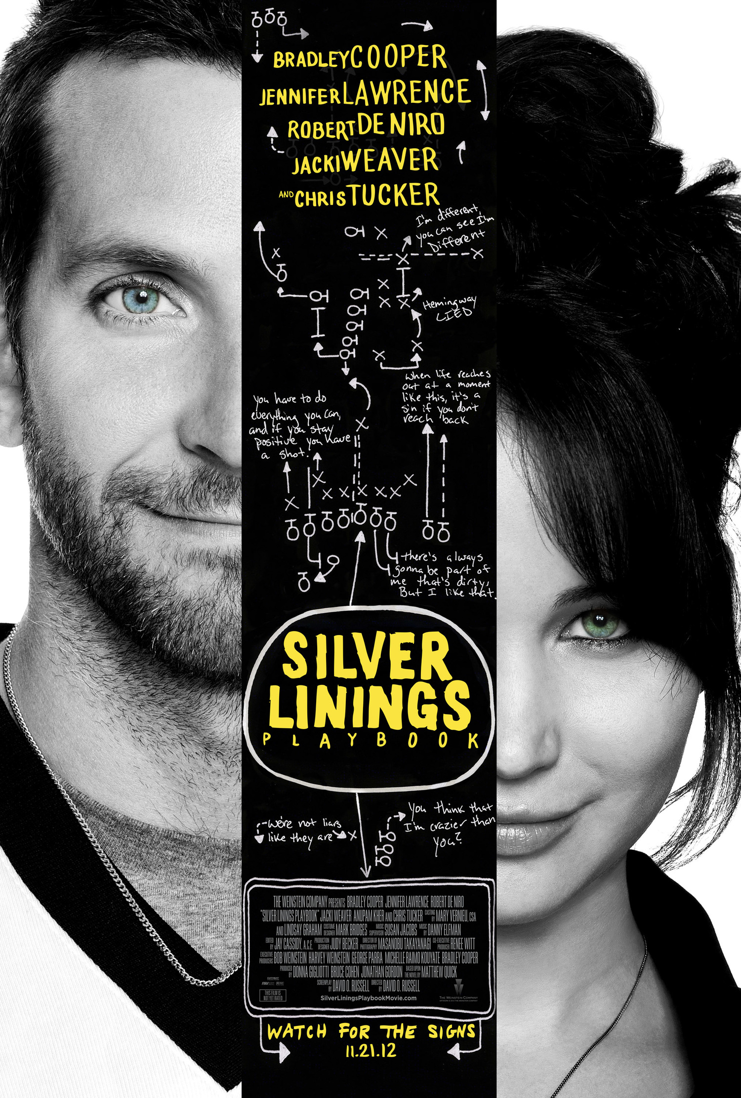 SILVER LININGS PLAYBOOK