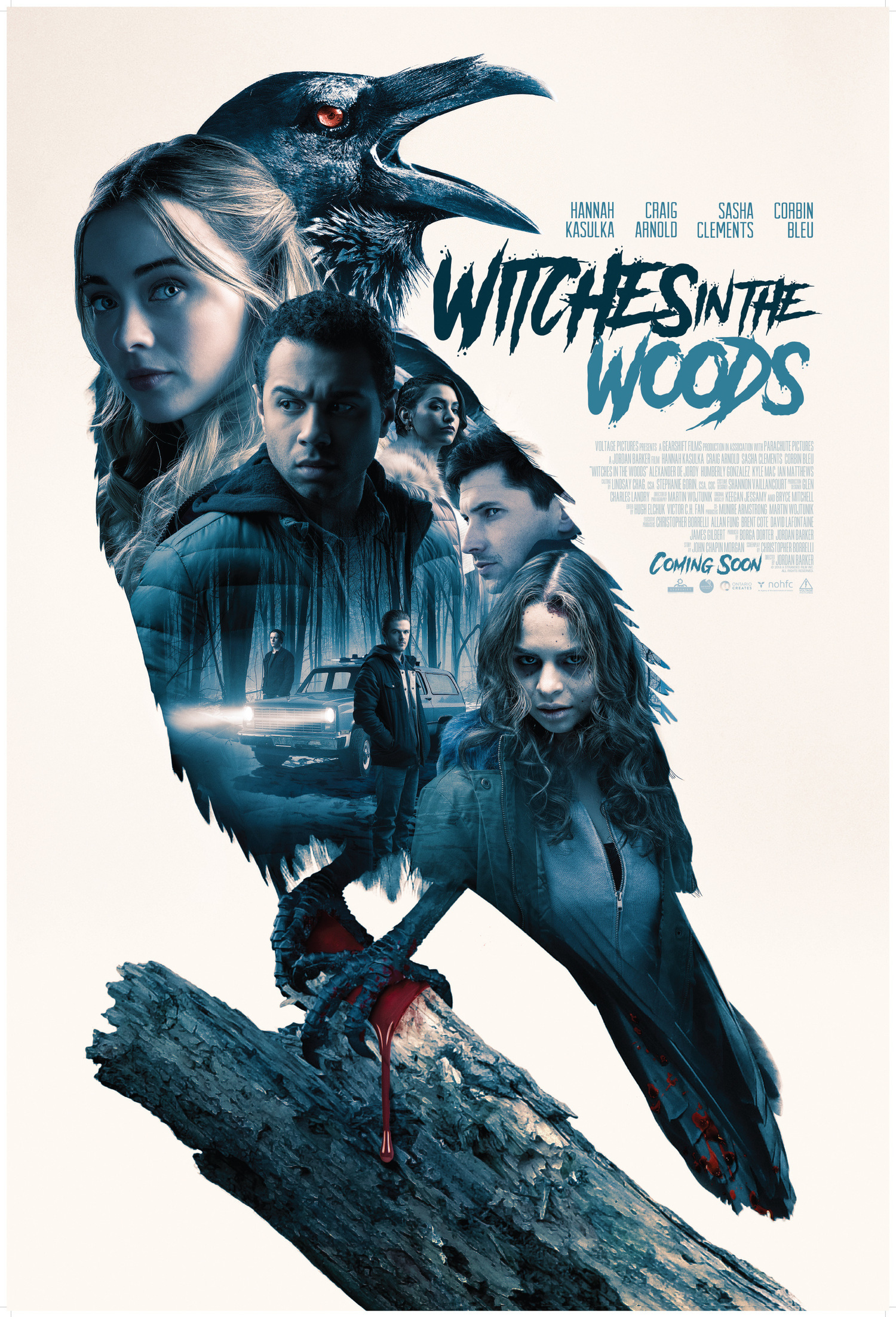WITCHES IN THE WOODS